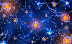 國(guó)際神經(jīng)外科學(xué)院Couldwell教授解讀：垂體瘤患者須知的治療途徑