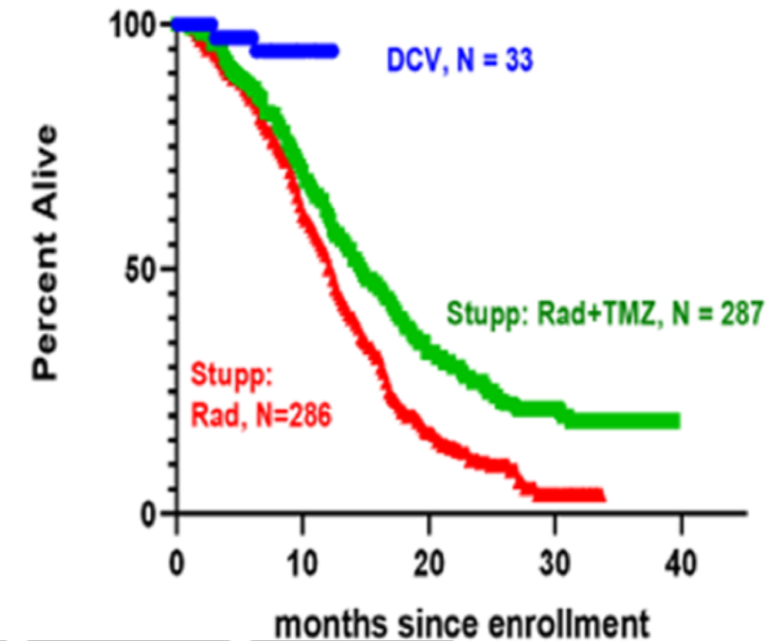 膠質(zhì)母細胞瘤