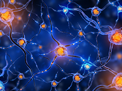 不只是抽搐、口吐白沫，癲癇病全身性發(fā)作有這9類