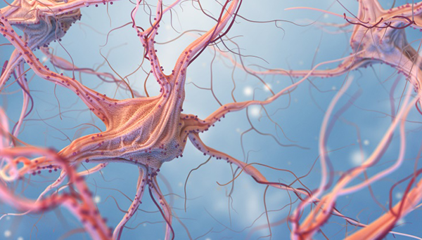 <a href='/baike/naobujiaozhiliu.html' target='_blank'><u>腦部膠質(zhì)瘤</u></a>如何治療