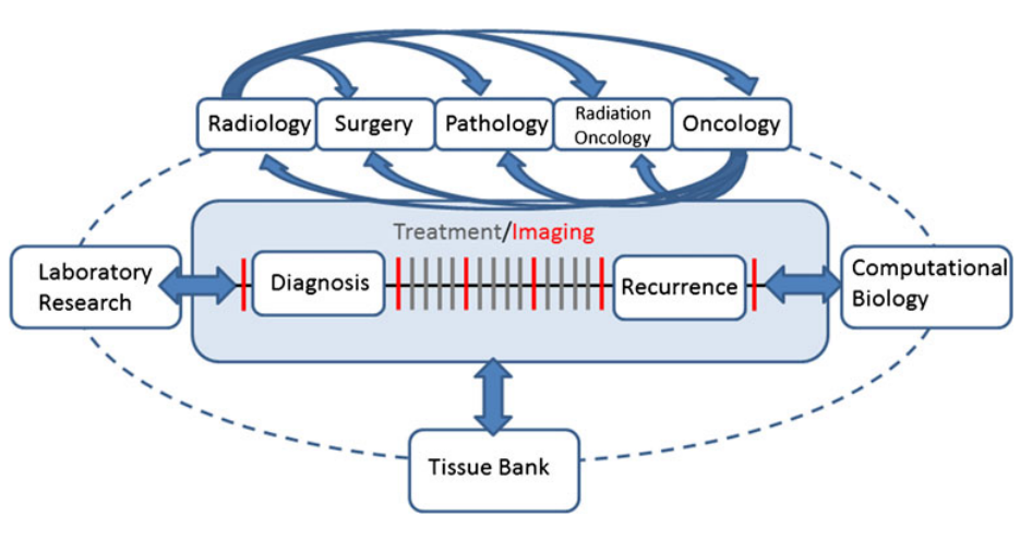 膠質(zhì)瘤治療