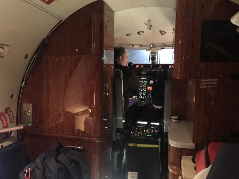 多發(fā)性膠質母細胞瘤圖片1