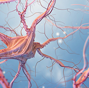 膠質(zhì)母細(xì)胞瘤是什么原因引起的？膠母四級會(huì)出現(xiàn)奇跡嗎？