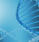 什么是腦部膠質瘤？多發(fā)性膠質瘤能治好嗎？