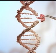 低級(jí)別膠質(zhì)瘤能治好嗎？生存期多久？