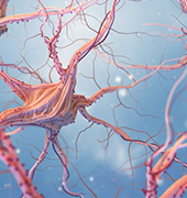 惡性腦膠質(zhì)瘤能治好嗎？抗血管生成藥物療效如何？