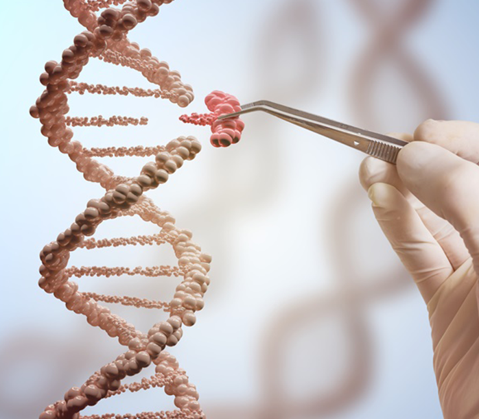 較大腦干膠質(zhì)瘤2次手術(shù)、多次化療，INC教授終全切腫瘤，10年未復(fù)發(fā)