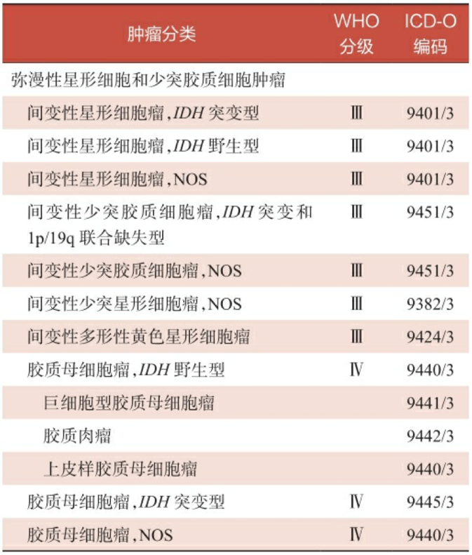 膠質(zhì)瘤分類