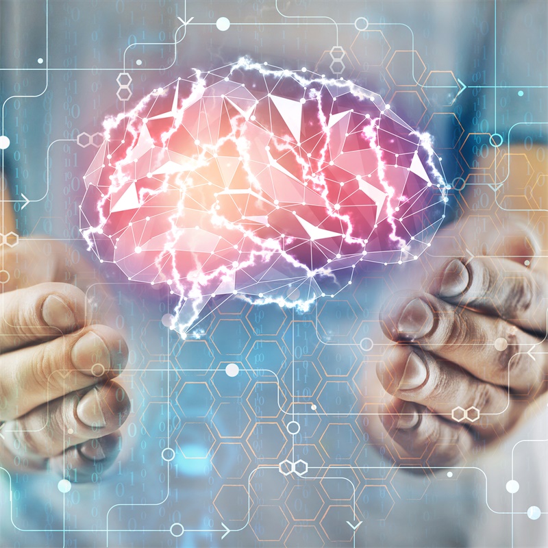 INC德國(guó)巴特朗菲教授：枕骨大孔腦膜瘤患者的治療效果分析