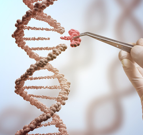 腦海綿狀血管瘤的發(fā)病率、患病率和臨床表現簡述