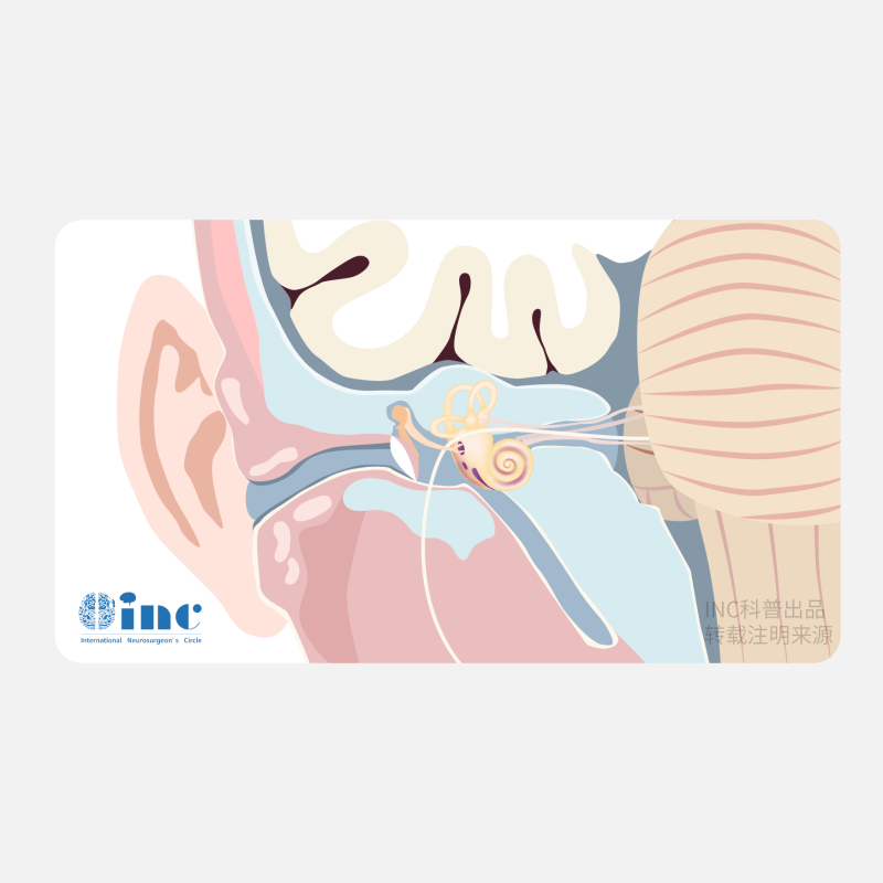 聽神經(jīng)瘤的癥狀有哪些？9個(gè)臨床表現(xiàn)