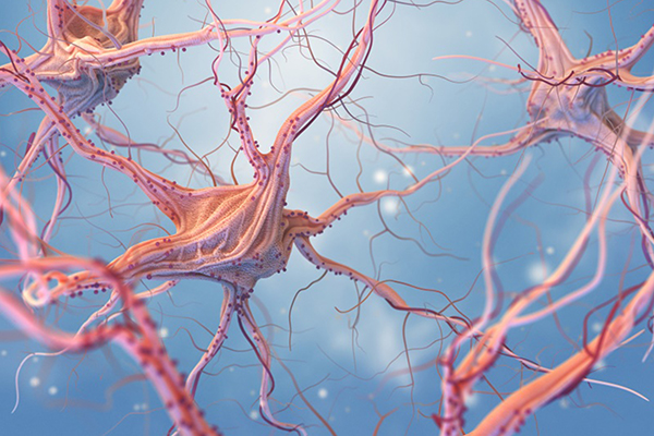 致命性腦干海綿狀血管瘤怎么治療比較好