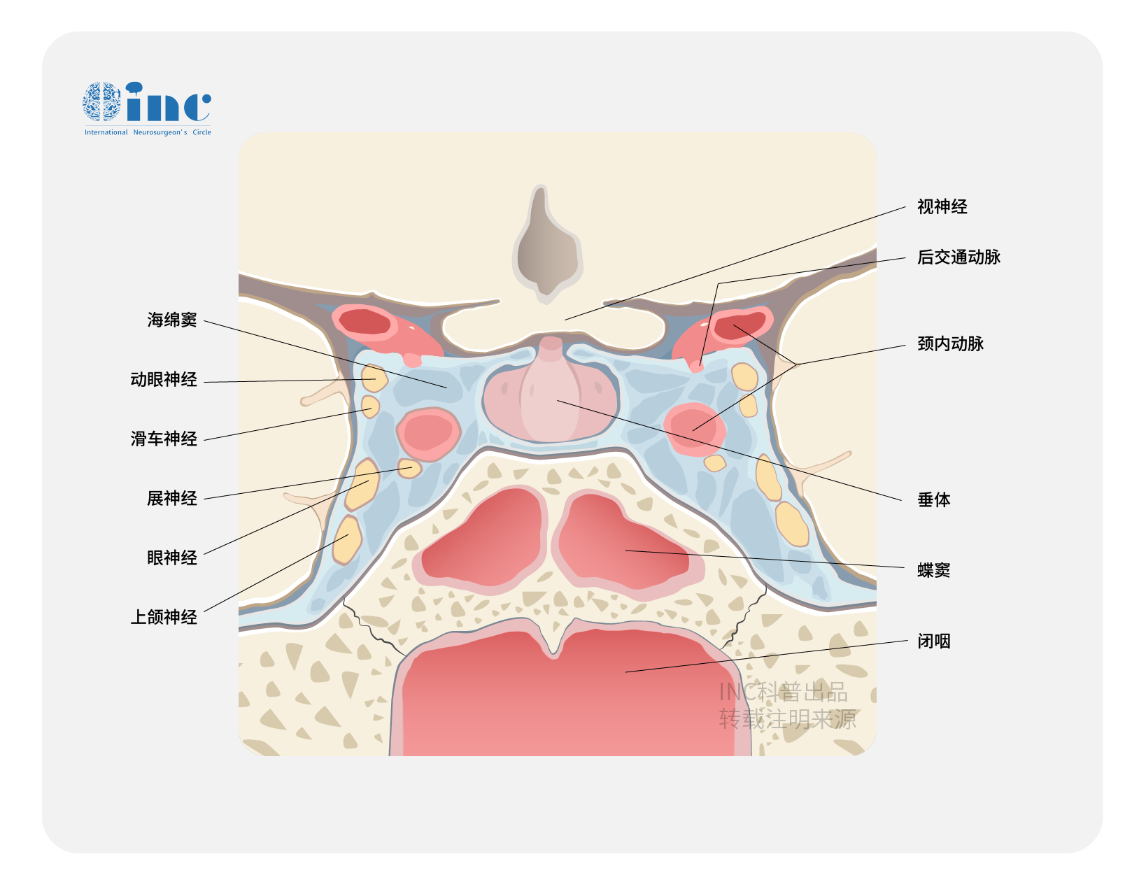 視神經(jīng)膠質(zhì)瘤手術(shù)后視力還能恢復(fù)嗎？臭名昭著的視神經(jīng)膠質(zhì)瘤能治好嗎？