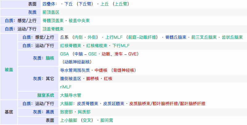 腦干膠質(zhì)瘤——大腦結(jié)構(gòu)