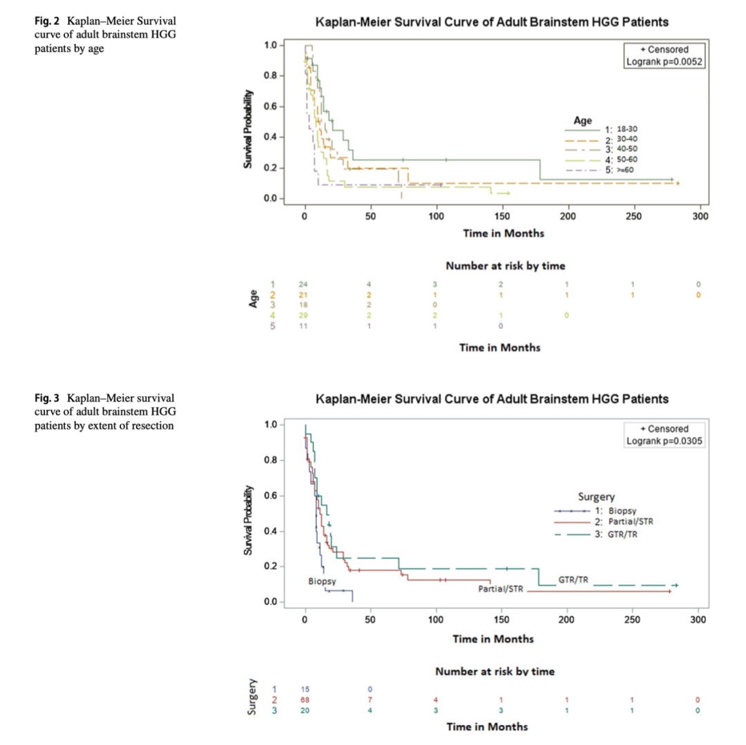 腦干高級別膠質(zhì)瘤