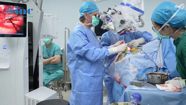 INC法國福洛里希教授媒體報道