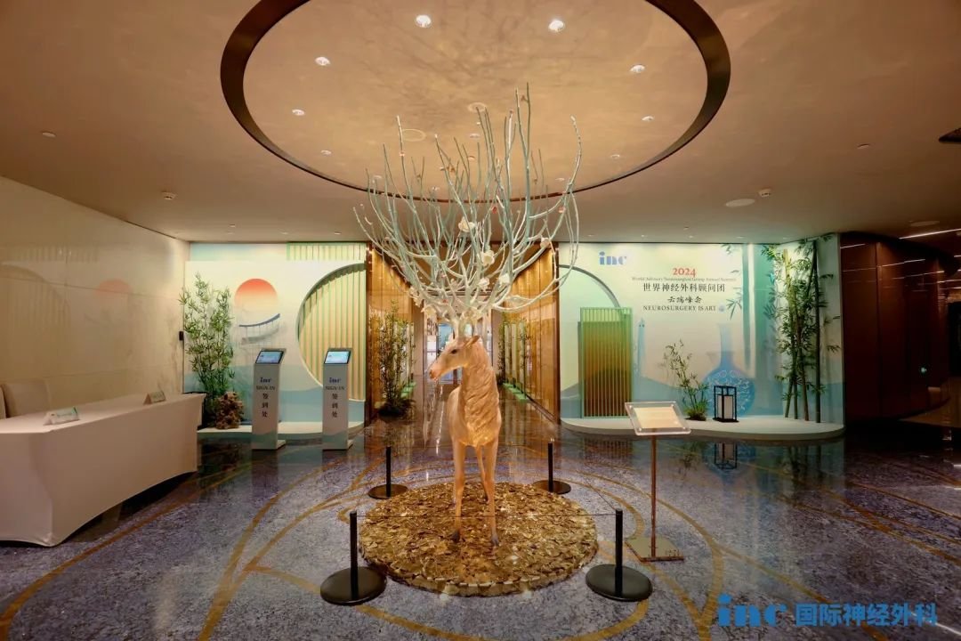 第四屆世界神經(jīng)外科顧問團云端峰會