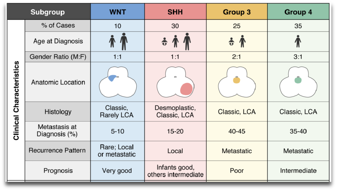 理解不同亞型的致病機(jī)理，有利于更準(zhǔn)確的推斷患者的預(yù)后效果，開發(fā)更有針對(duì)性的治療方法，以及減少對(duì)患者進(jìn)行過(guò)度的治療。