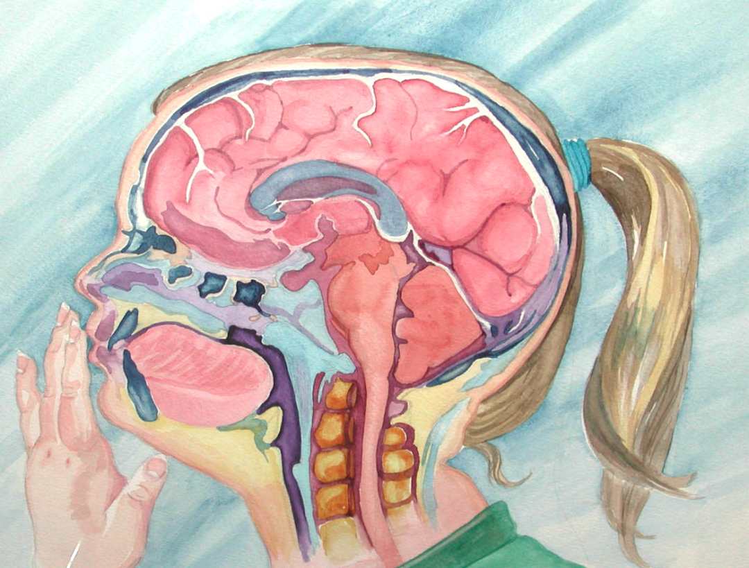 暖心！一幅來(lái)自8歲顱咽管瘤小患者的手繪畫，滿滿的都是感謝！