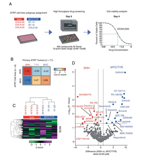 圖 1 各亞組特異及廣譜激酶抑制劑反應(yīng)