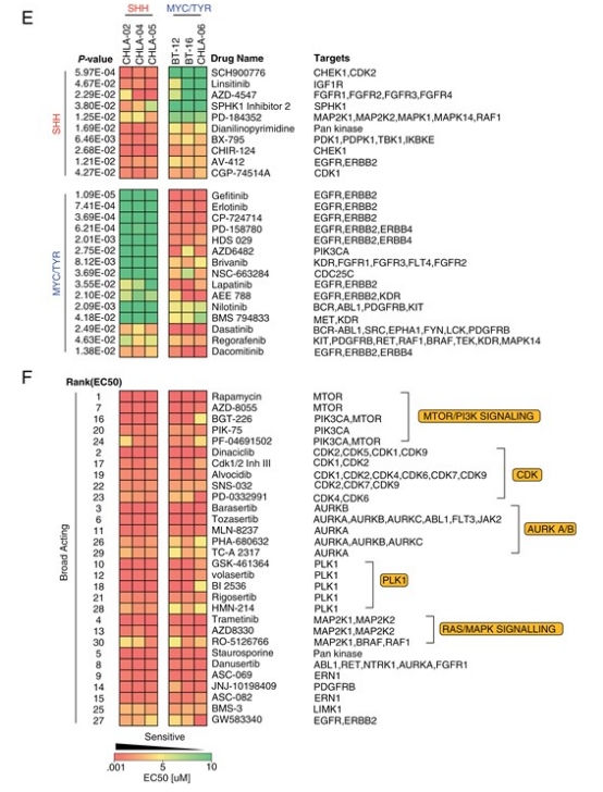 圖 1 各亞組特異及廣譜激酶抑制劑反應(yīng)