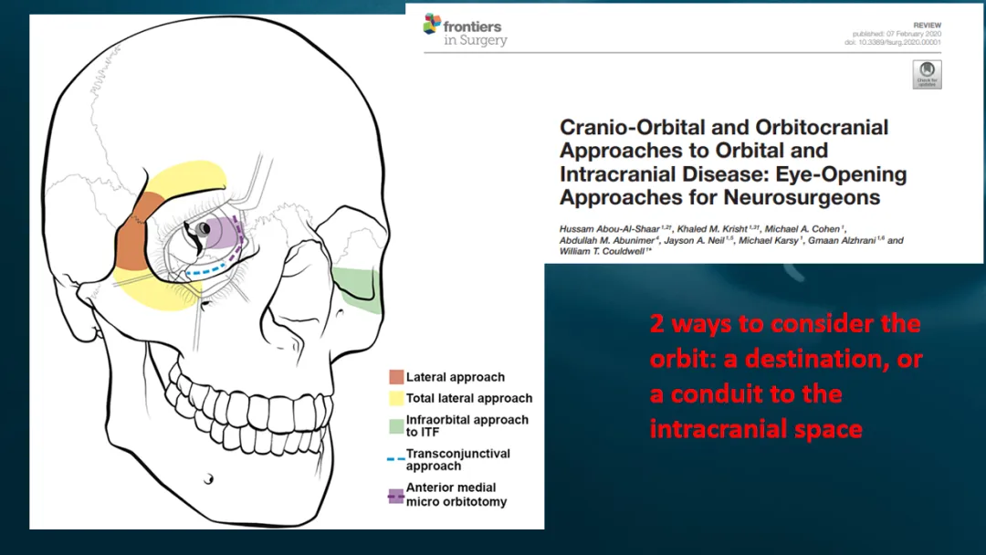 顱底神經(jīng)外科醫(yī)生必須熟悉眼眶